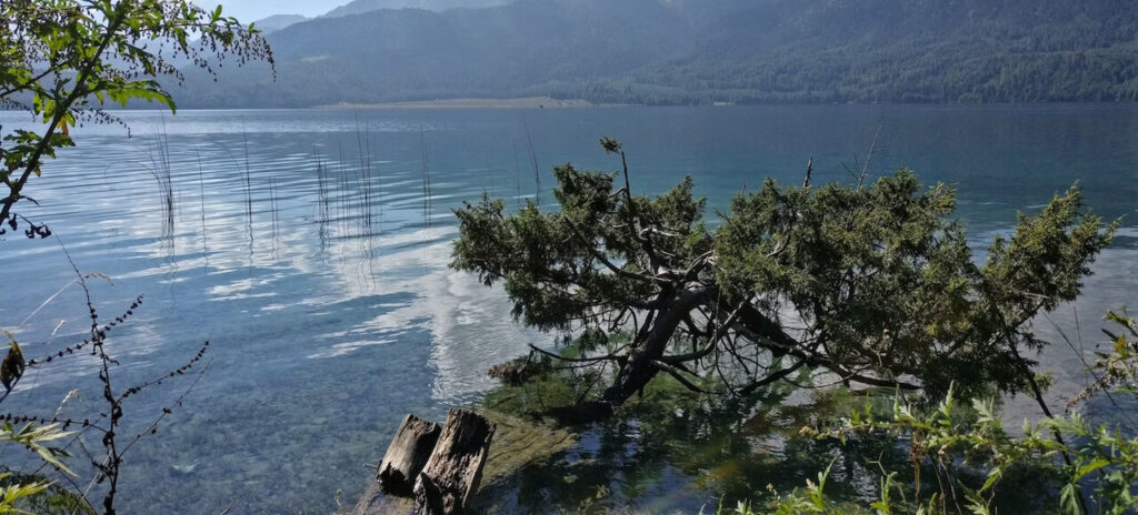 Rara Lake