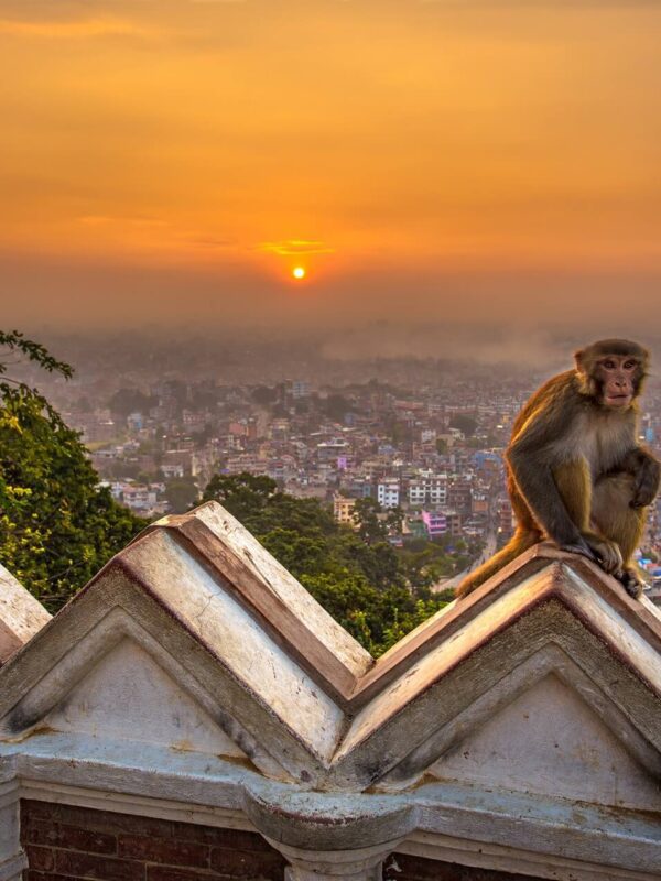 Nepal roundtrip Sunset at Monkey Temple Kathmandu