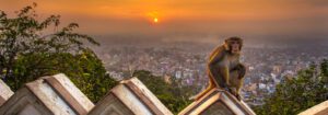 Swayambhunath