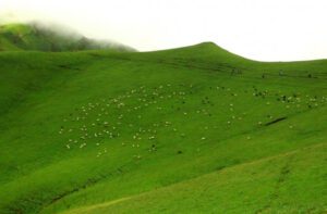 badimalika hill