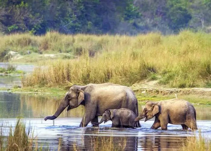 bardia national park