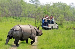chitwan 1