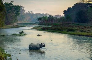 chitwan 4