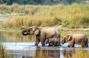 7-Day Nepal Highlights Tour