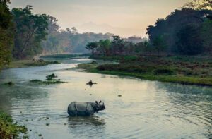 chitwan sightseeing