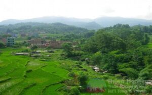 dhading