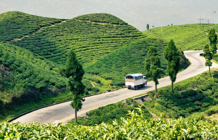 Far East Nepal Ilam tea Plantage