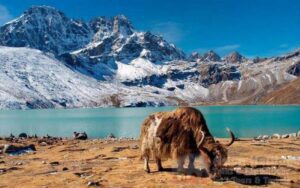 gokyo lake 3