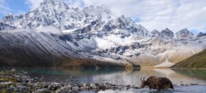 Gokyo Lake Trekking