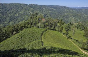 ilam 1