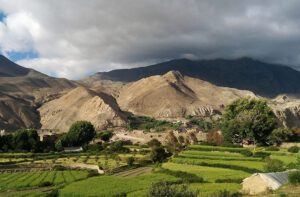 jomsom 3