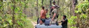 jungle safari