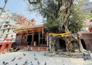 kathmandu durbar square 16
