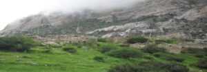 koto village