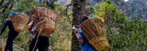 Langtang Trek Difficulty: How to Overcome