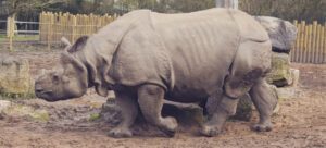 nepal wildlife tour