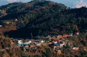 palpa
