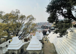 pashupatinath 3 1