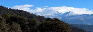 peak view