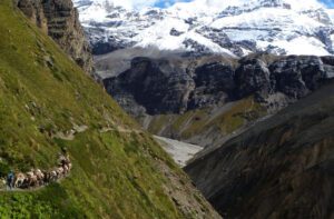 phedi 1