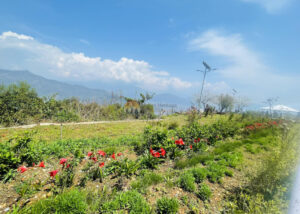 pokhara 14 1