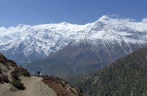 royal trek mountain view