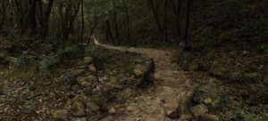 Shivapuri National Park