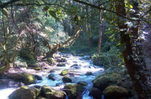 Shivapuri National Park