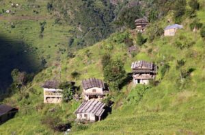 simigaon 2