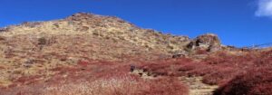 way to ama yangri