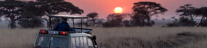 Destination Tanzania