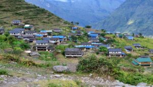 Bhalche