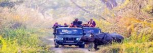 chitwan jeep safari