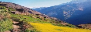 lantang valley