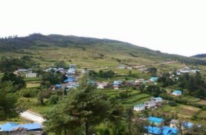 pattale village