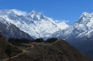 tamakhani