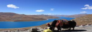 yamdrok lake
