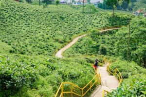 Far East Nepal Region
