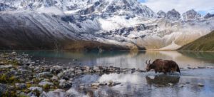 gokyo lake trek