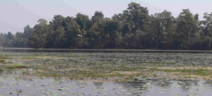 ghoda ghodi lake