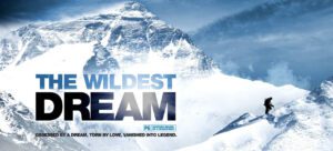 the wildest dream