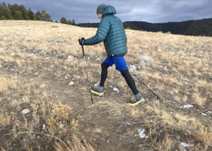 Trekking Poles