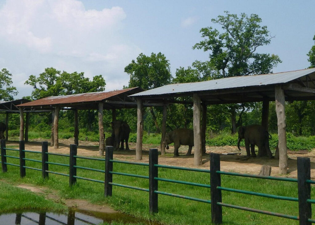 Elephant Breeding Center