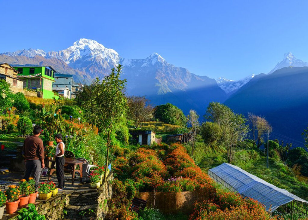 Ghandruk Majestic View