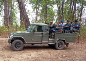 Jeep Safari