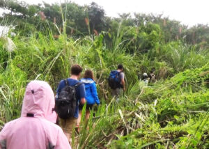 jungle walking chitwan