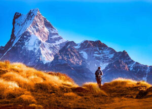 Mardi Himal Trek in July