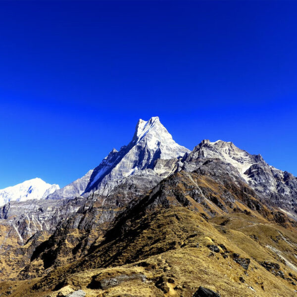 Mardi Himal Trek in March