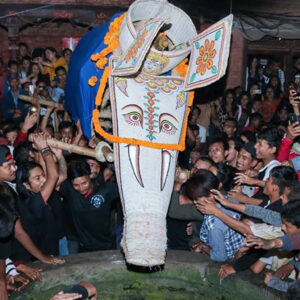 Pulu Kisi