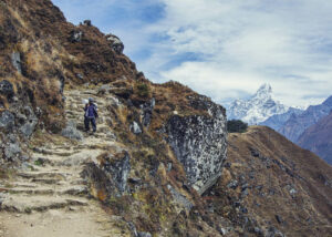 sherpa guide
